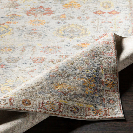 Liverpool Rug - LVP2300 - Gray/Red